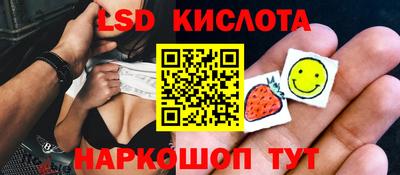 индика Усть-Джегута