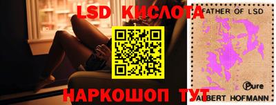 индика Усть-Джегута