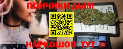 индика Усть-Илимск