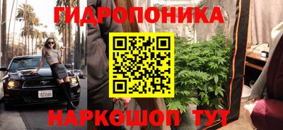 индика Усть-Илимск