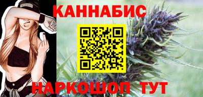 индика Усть-Джегута