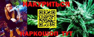 индика Усть-Джегута