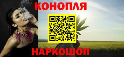 индика Усть-Джегута